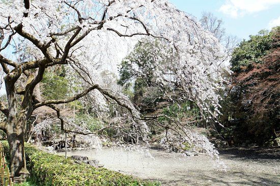 Kaiserpalast von Kyoto